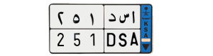 لوحة ا س د 251