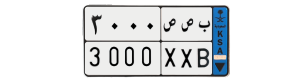 لوحة ب ص ص3000
