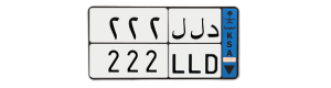 لوحة د ل ل 222