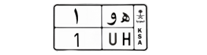 لوحة ه و 1