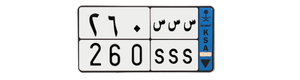لوحة س س س 260